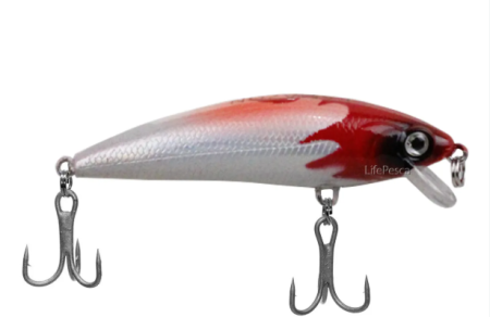 Pesca